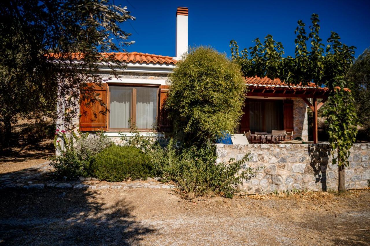 Seafront Traditional Stone House In Sunset Olive Grove - B Villa Alyfanta Exterior photo