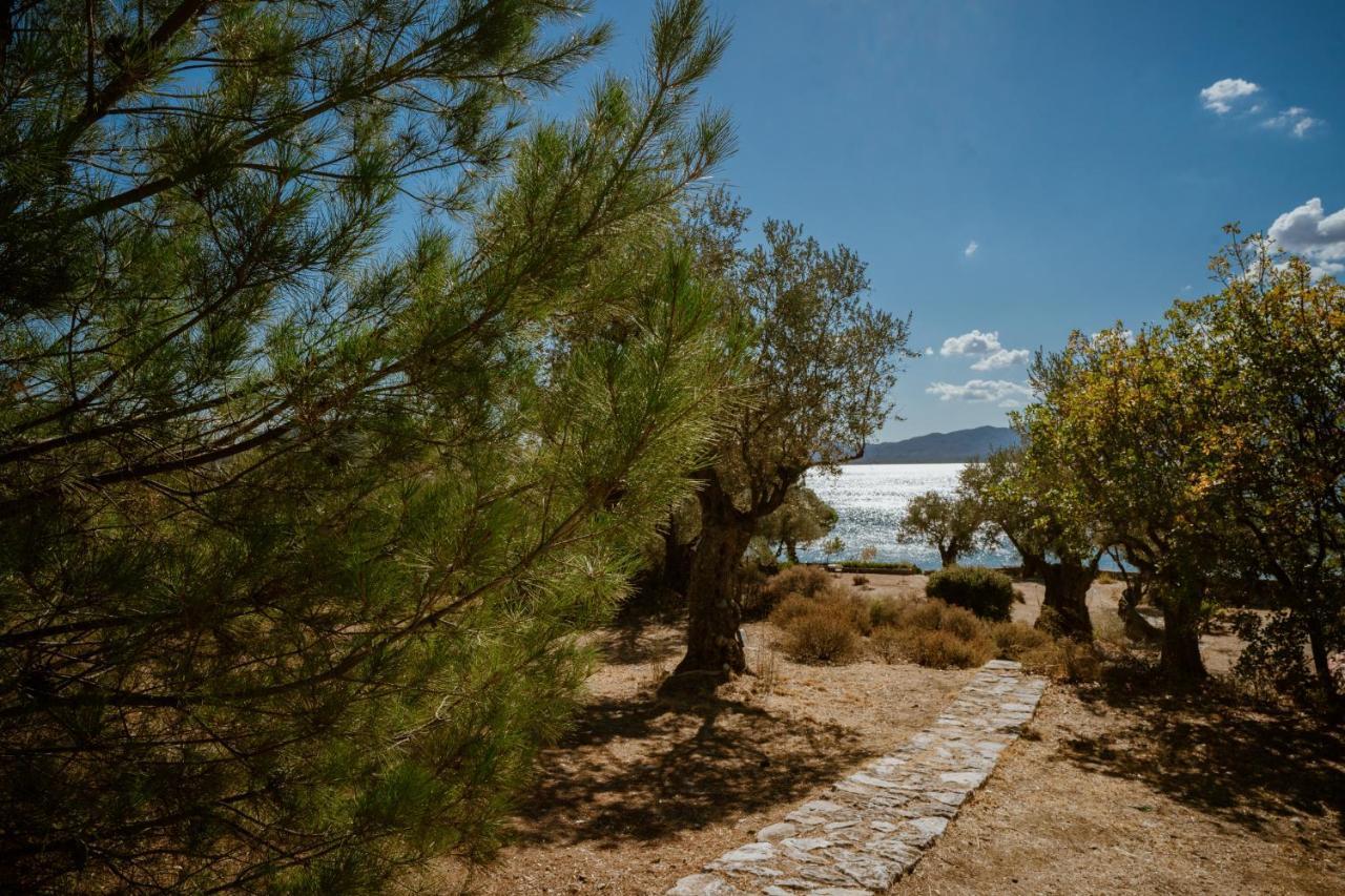 Seafront Traditional Stone House In Sunset Olive Grove - B Villa Alyfanta Exterior photo